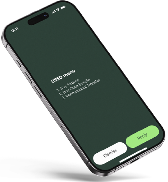 Fluxr USSD Service Demo